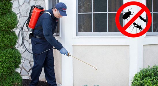 Eskipazar Bit İlaçlama böcek ilaçlama ve haşere kontrolü — ilaclama-tr.com